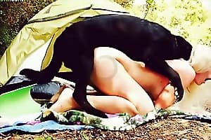 sex with dog