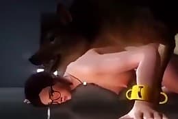 Sex pornos dog Free Dog