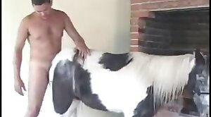 mare-fucking,zoo-video
