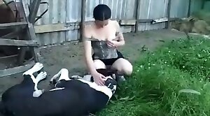 psí sex,zasraná zvířata