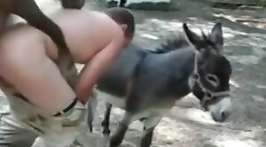 动物癖,动物园色情