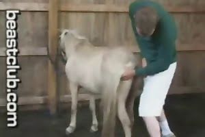 caballo porno,sexo en la granja