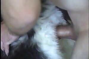 seks z psem,pieprzenie zwierząt