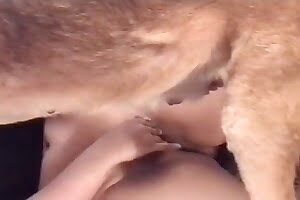 bestiality,zoo porn videos