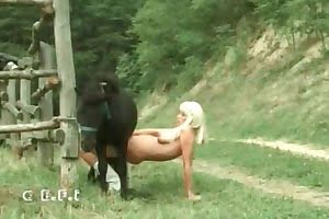 bestiality action,hardcore animal porn
