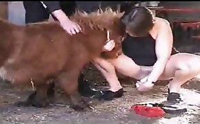 fille baise animal vidéo de baise de bestialité