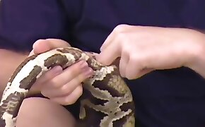 canavarlık porno videolar yılan