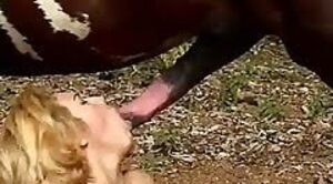 horse-cock-porn,horse-sex