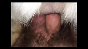bestiality-videos,zoo-sex