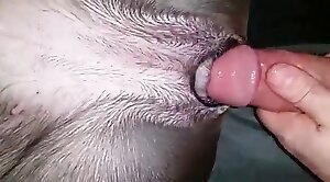 gape,animal-porn-videos