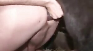bestiality-orgasms,zoo-sex