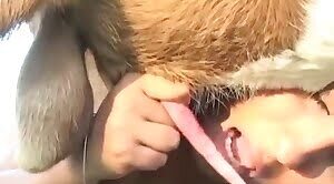 oral-bestiality,zoo-porn-videos